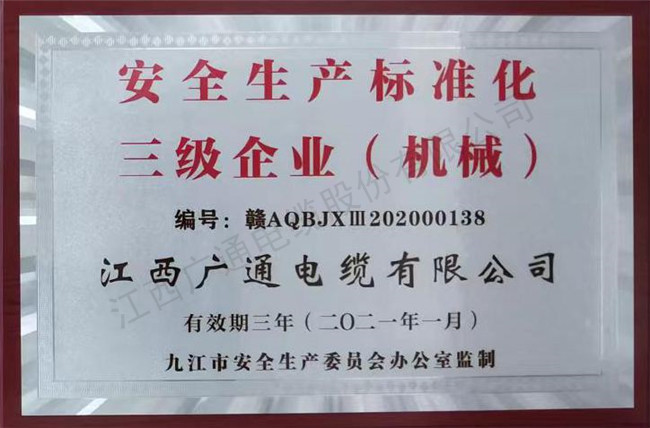 安全生产标准三级企业